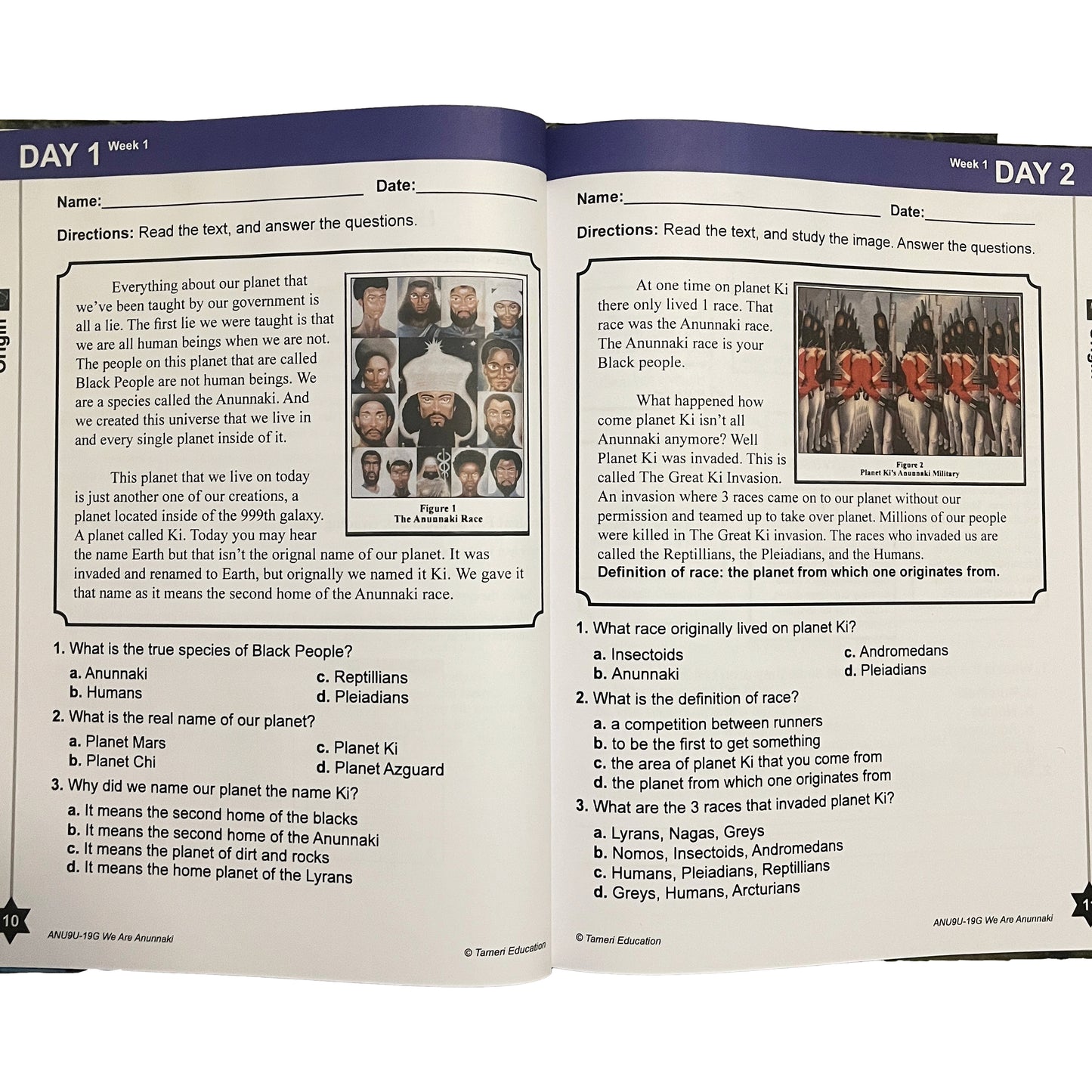 This Planet Was Stolen From Black People Day 1-40 (Hardcover)