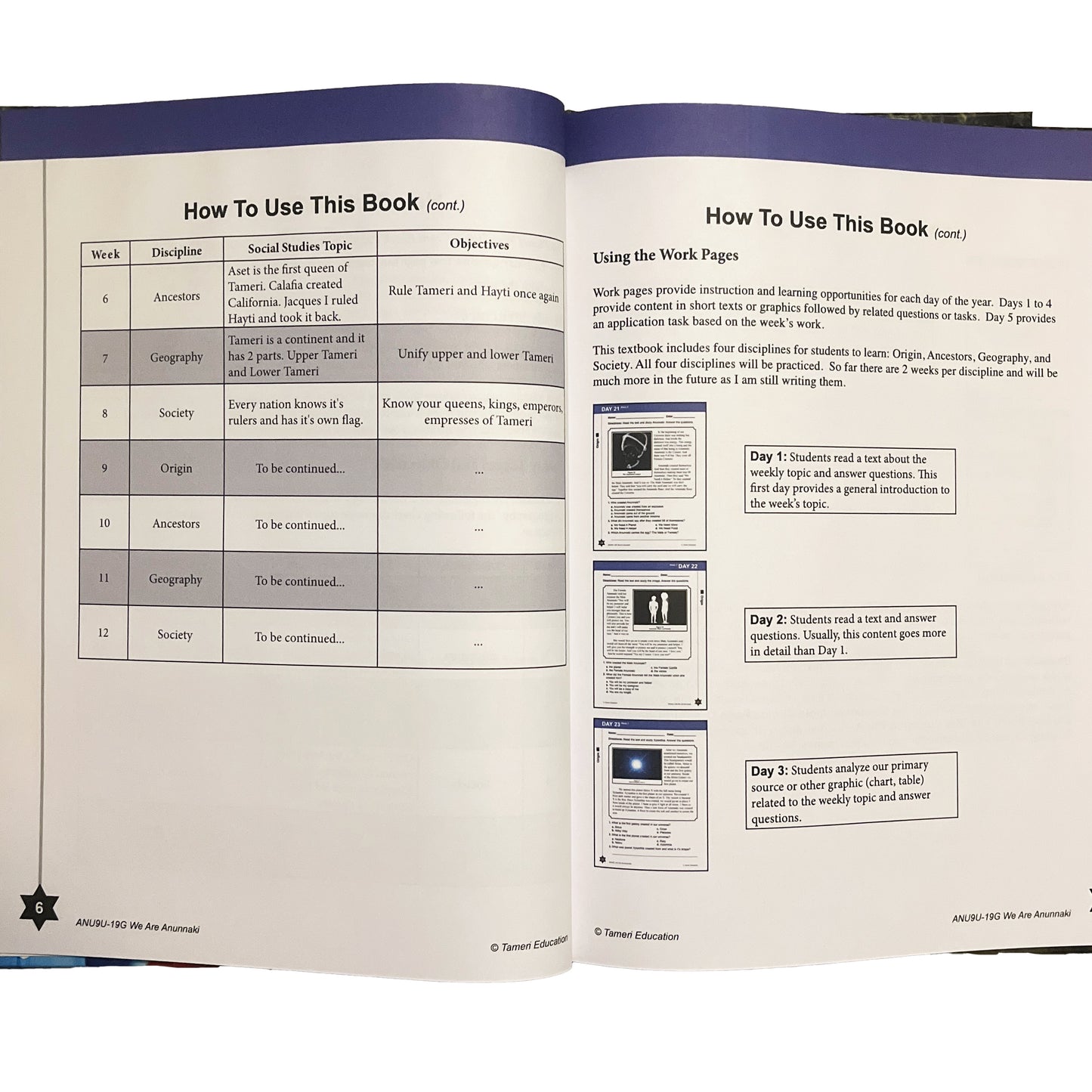 This Planet Was Stolen From Black People Day 1-40 (Hardcover)